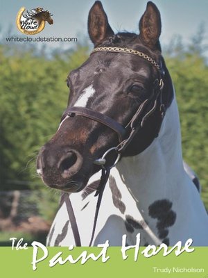 cover image of The Paint Horse